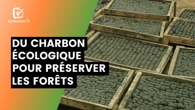 Bénin : Du charbon écologique pour préserver les forêts
