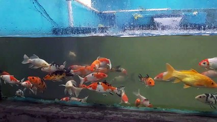 sleep relaxation the sound of rain makes you sleep better