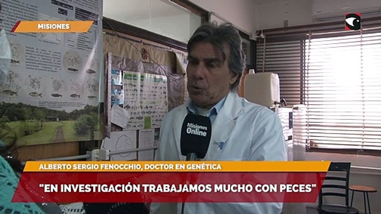 En investigación trabajamos mucho con peces
