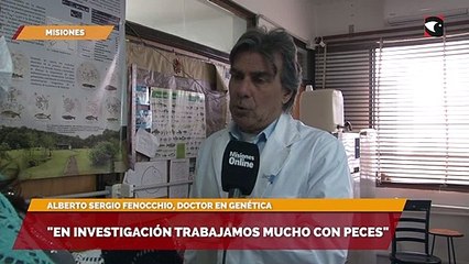 En investigación trabajamos mucho con peces