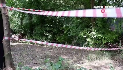 O ilde ormanlara giriş 3 ay yasaklandı!