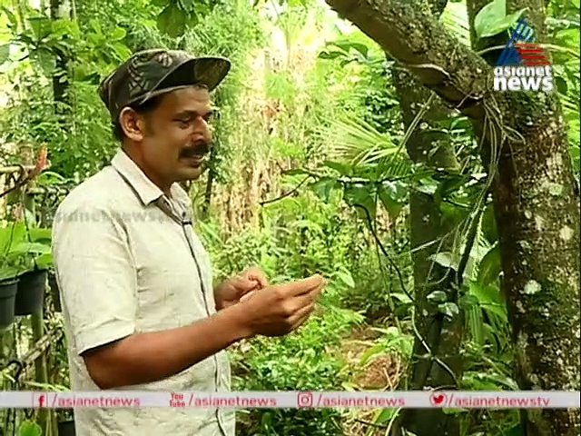 കോളജിന്റെ പടി ചവിട്ടിയില്ല; പക്ഷെ ഗവേഷകരുടെ വഴി കാട്ടിയാണ് വെങ്ങപ്പള്ളിക്കാരന്‍ സലീം