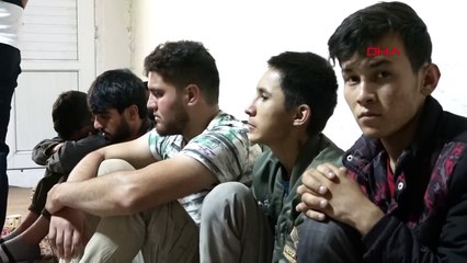 Hepsi yakalandı! Evden kaçak göçmen fışkırdı