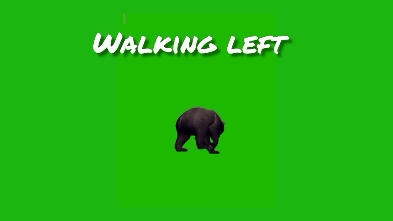 bear green screen