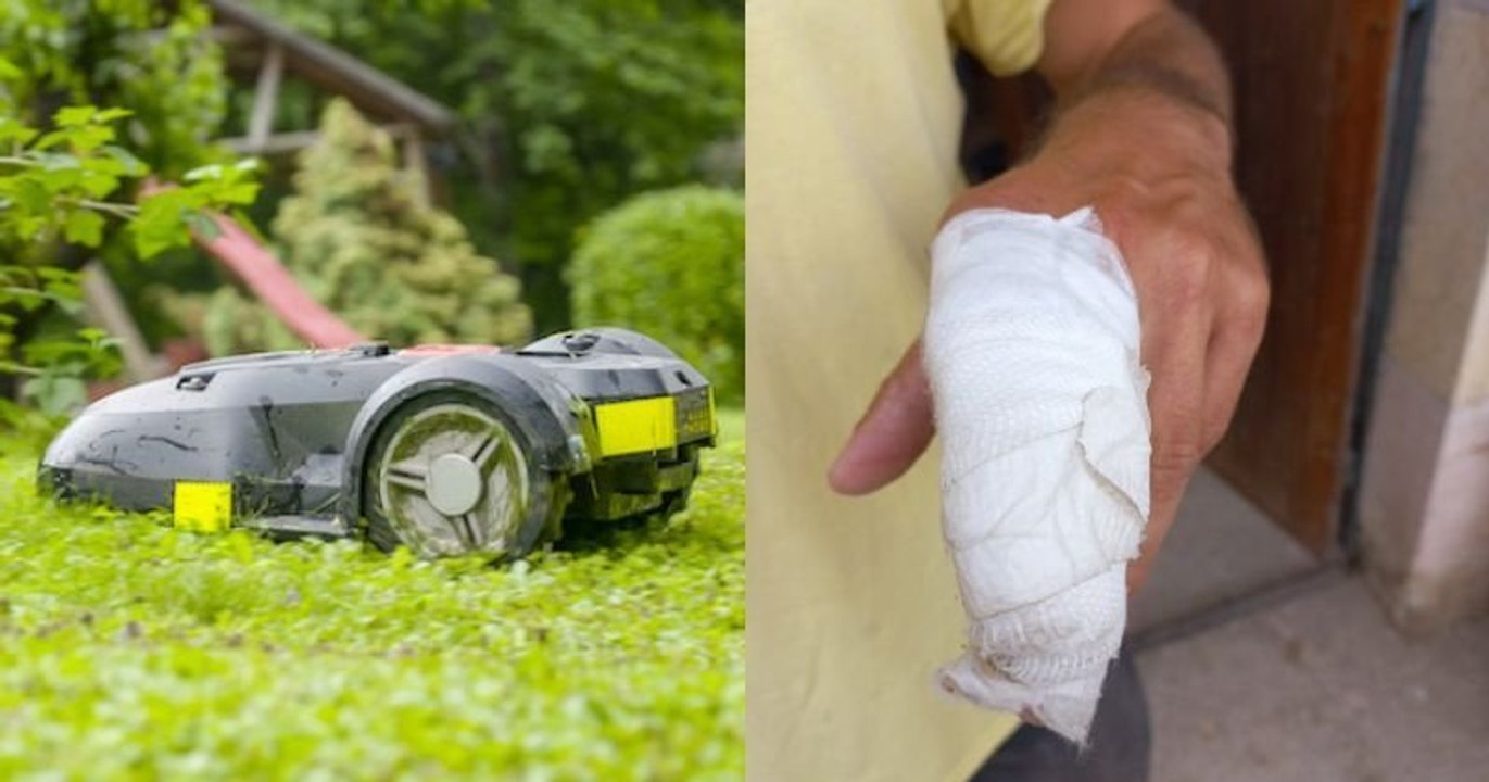 Alors qu'il fait la sieste dans l'herbe, il est réveillé avec effroi par un robot-tondeuse qui lui coupe la main