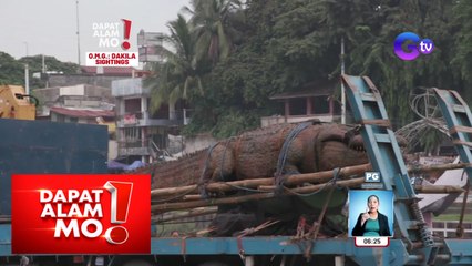 Dambuhalang buwaya, ipinarada sa Metro Manila? | Dapat Alam Mo!