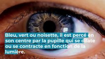 Zoom sur vos yeux