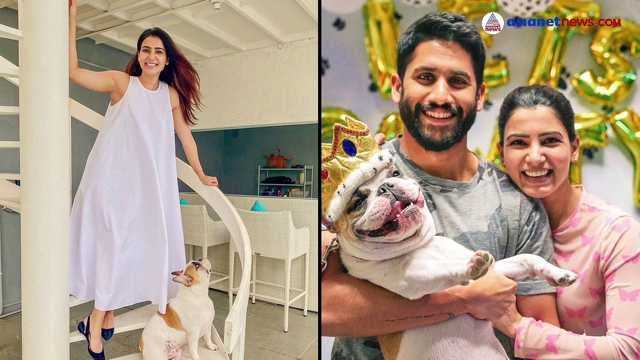 സാമന്തയും നാഗചൈതന്യയും വേര്‍പിരിയുന്നെന്ന് റിപ്പോര്‍ട്ട്; ഇരുവരും കുടുംബകോടതിയെ സമീപിച്ചു