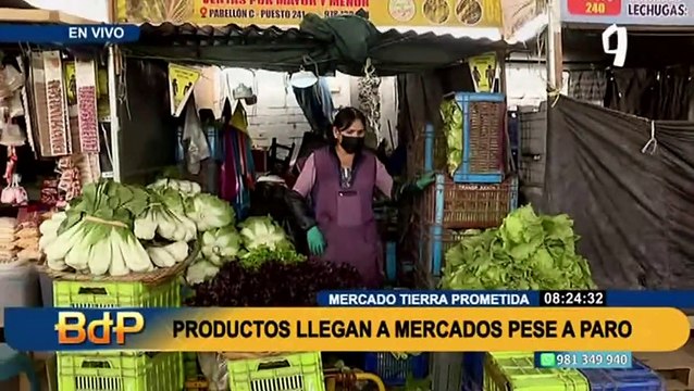 Paro de transportistas: No se registran subida de precios ni desabastecimiento en mercados