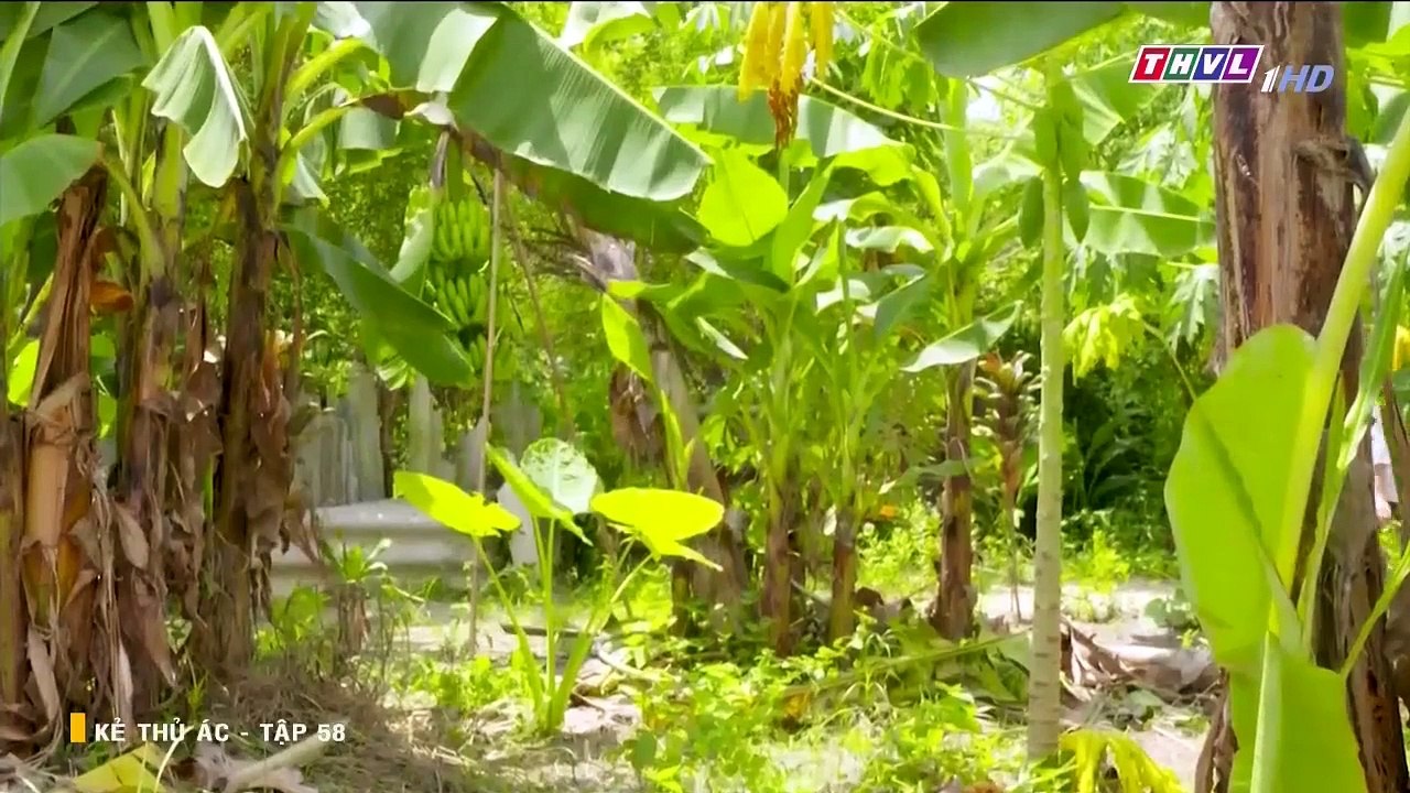 Kẻ thủ ác tập 58 - phim Viet Nam THVL1 - phim ke thu ac tap 59