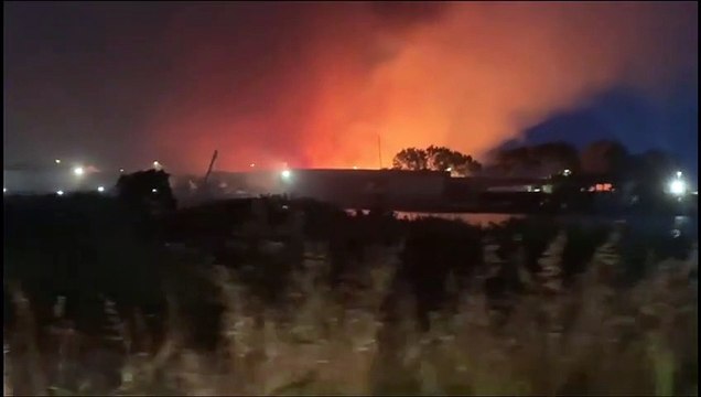 Ostia, vasto incendio nella zona dell’Idroscalo. Minacciata l’oasi Lipu 1
