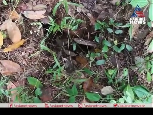 ഇടുക്കിയിലെ പൂമാലയില്‍ ഭൂമി വിണ്ടുകീറി അകന്നുമാറുന്നു; ഭീതിയില്‍ നാട്ടുകാര്‍