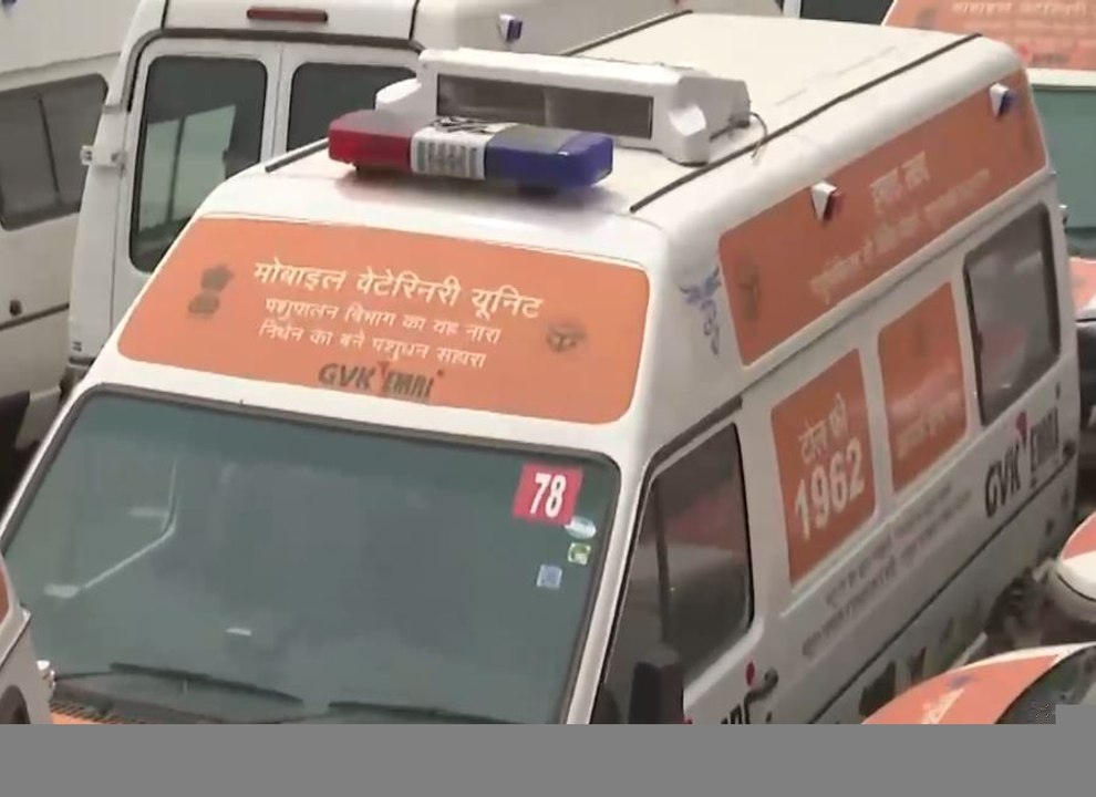 UP: अफसरों की हीलाहवाली के चलते नहीं शुरू हो पायी 'पशु एंबुलेंस' योजना, पशुओं को मिलेगा बेहतर इलाज!