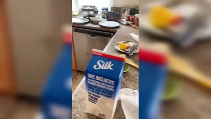 Only Girls Will Understand TikTok Compilation _♀️