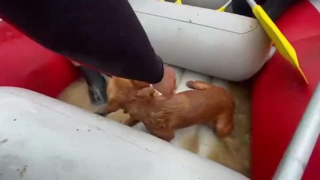 Rescates tras las inundaciones al norte de Turquía