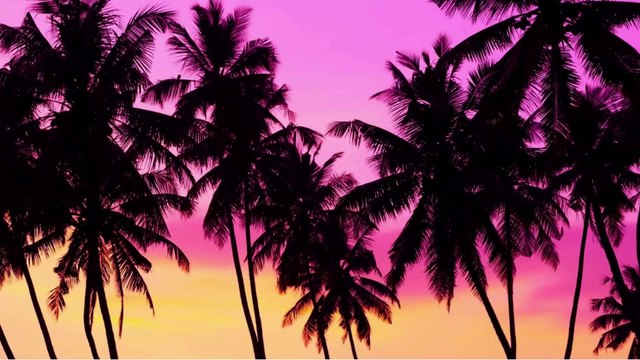 Hype No Copyright Free Energetic _ Cool Electro House Background Music - _Away_ by Markvard