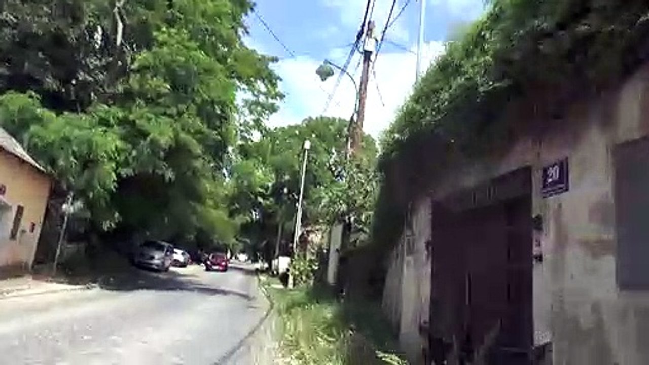 STAMMERSDORFER KELLERGASSE - Dialog und Austausch als Rettung für den stadtbekannten Hohlweg