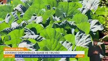Ministério da Agricultura disponibilizou quase R-1 bilhão para seguro rural