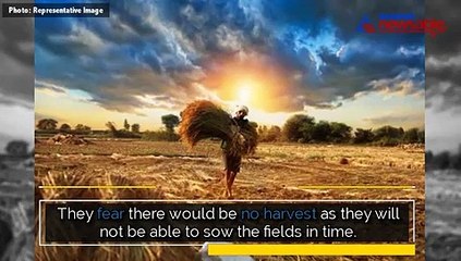 In this village, the ritual has gone to a serious new level where women plough the field naked