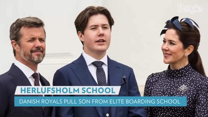 下载视频: Prince Frederik of Denmark Pulls Son from School Following Alarming Allegations at Establishment