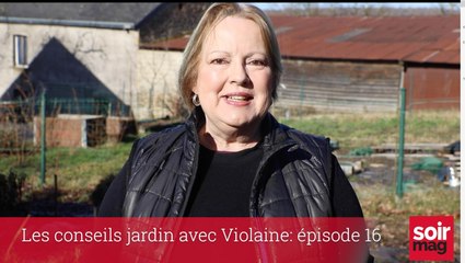 Les conseils jardin avec Violaine: épisode 16