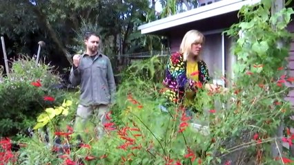 Honey Bee industry confident they have plan to eliminate parasite threat