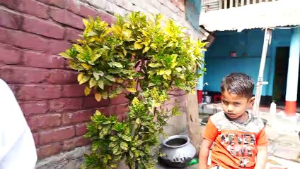 Super Duper Funny Video 2021 TRY TO NOT LAUGH