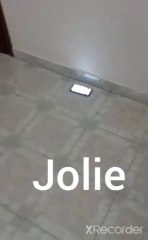 Miaulement pour attirer un chat - ou le faire réagir