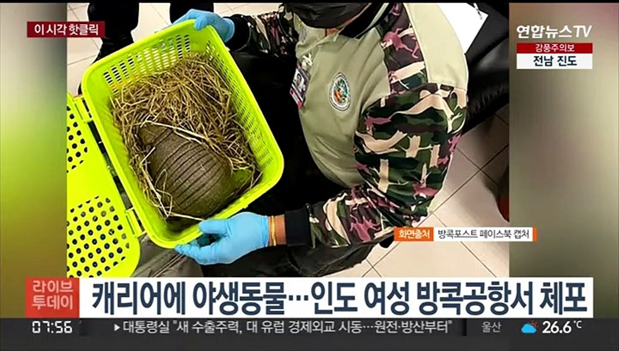 [핫클릭] 캐리어에 야생동물…인도 여성 방콕공항서 체포 外