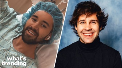 Jeff Wittek SUES David Dobrik After Excavator Injury