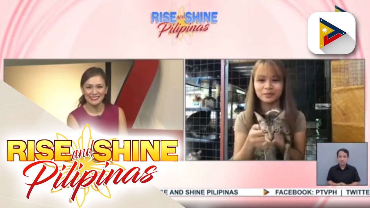 Mahigit 50 cats, inaalagaan sa cat cabin ni Sheena