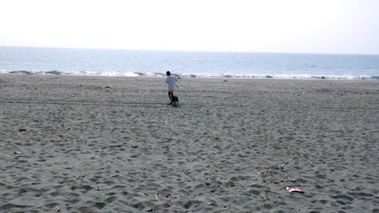 大好きな竜宮の磯遊び