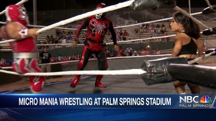 Micro Mania Wrestlers THROW HANDS on LIVE TV!