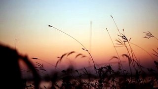 Evening Grasses Lakeside Sunset || Cinematic Style || Free Videos To Upload On Youtube