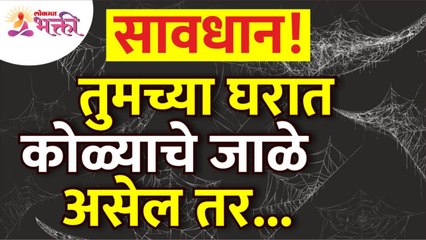 घरात कोळ्याचे जाळे असेल तर तुम्ही काय करावे? What to do if Spider Web in a House? Vastutips for home