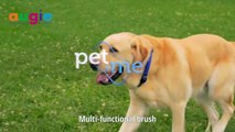 Pet Grooming _ Multi-Functional Brush _ Furry Tails Pet grooming _ Augie