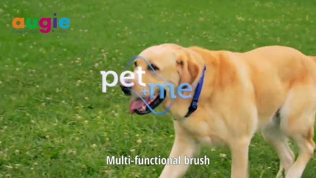 Pet Grooming _ Multi-Functional Brush _ Furry Tails Pet grooming _ Augie