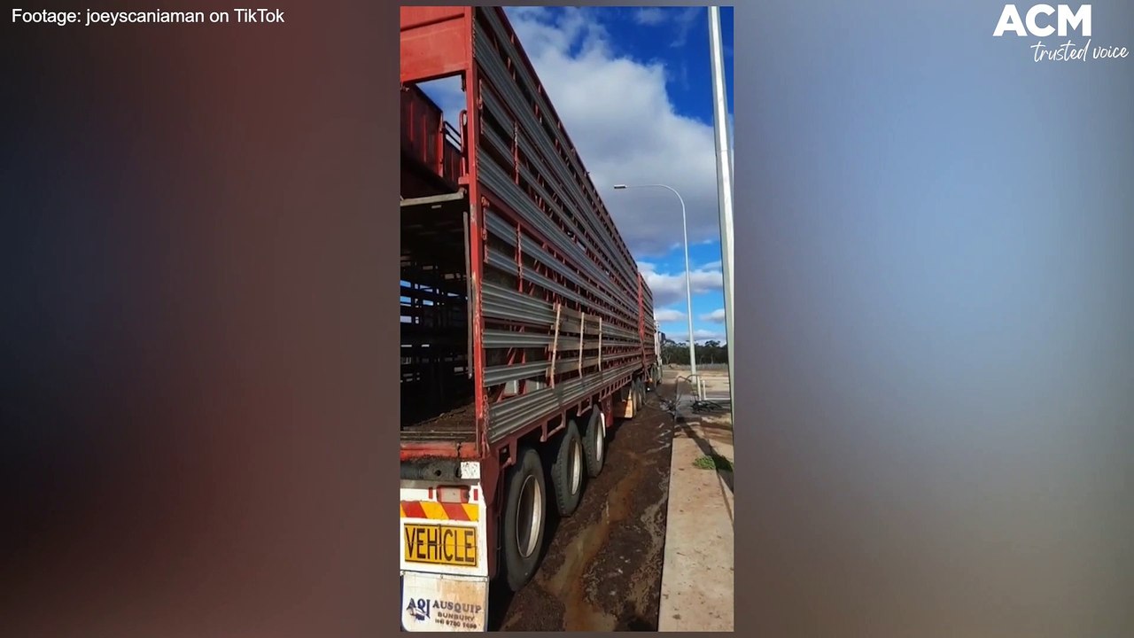 Western Australian trucker Joseph Mannolini becomes TikTok sensation | June 29, 2022 | Farm Weekly