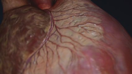 The Dark Side of Sleep Trackers