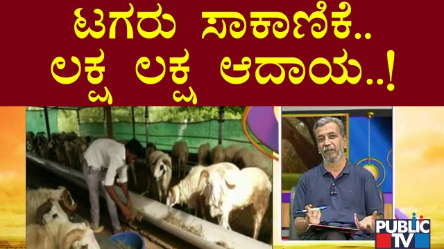 News Cafe | A Youth From Bagalkot Is Earning Lakhs From Sheep Farming | HR Ranganath | June 29, 2022
