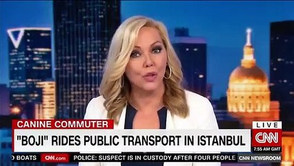 Boji, CNN'e haber oldu! "Turizm Bakanlığından daha iyi ülke tanıtımı yapıyor"