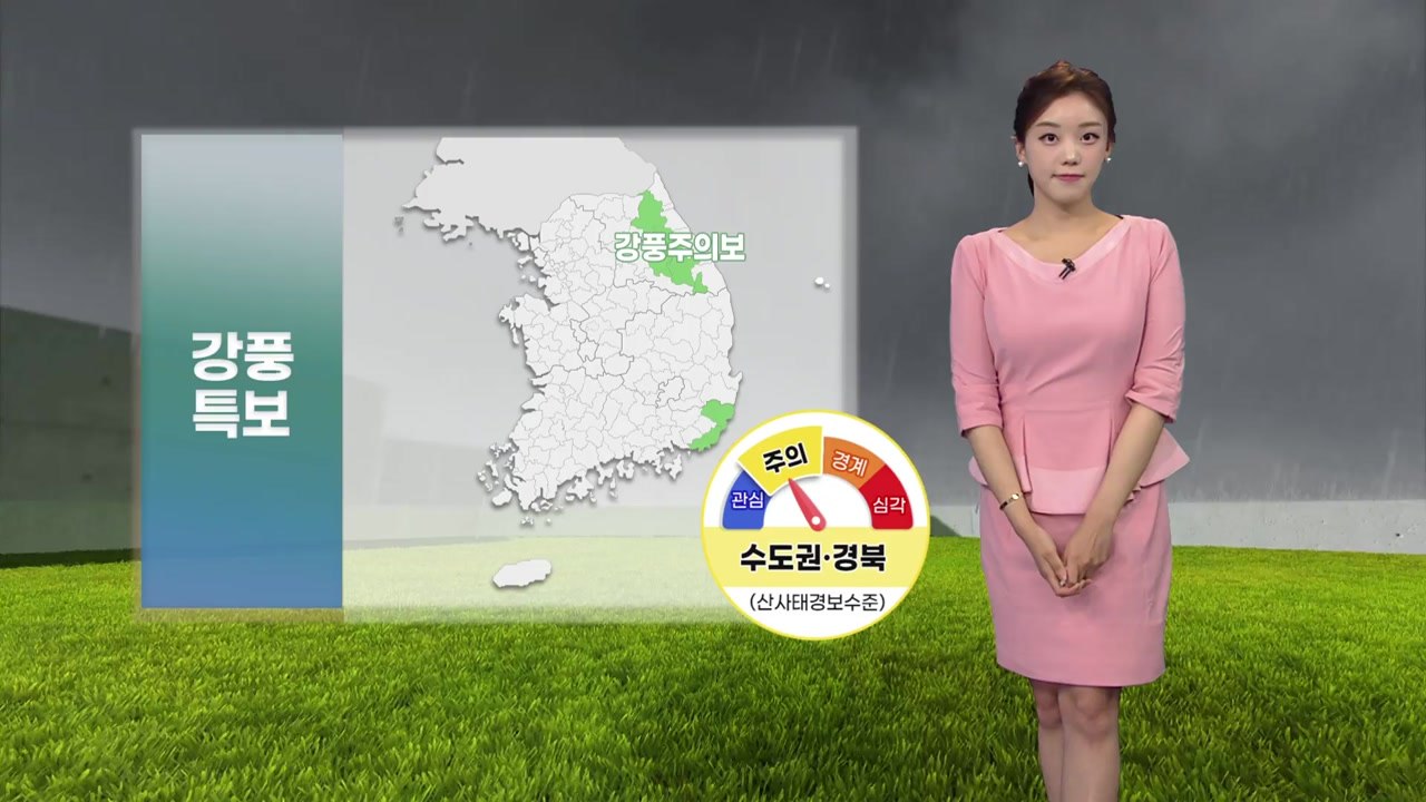 [날씨] 전국 곳곳 비...경북 산사태 위기 경보 '주의' / YTN