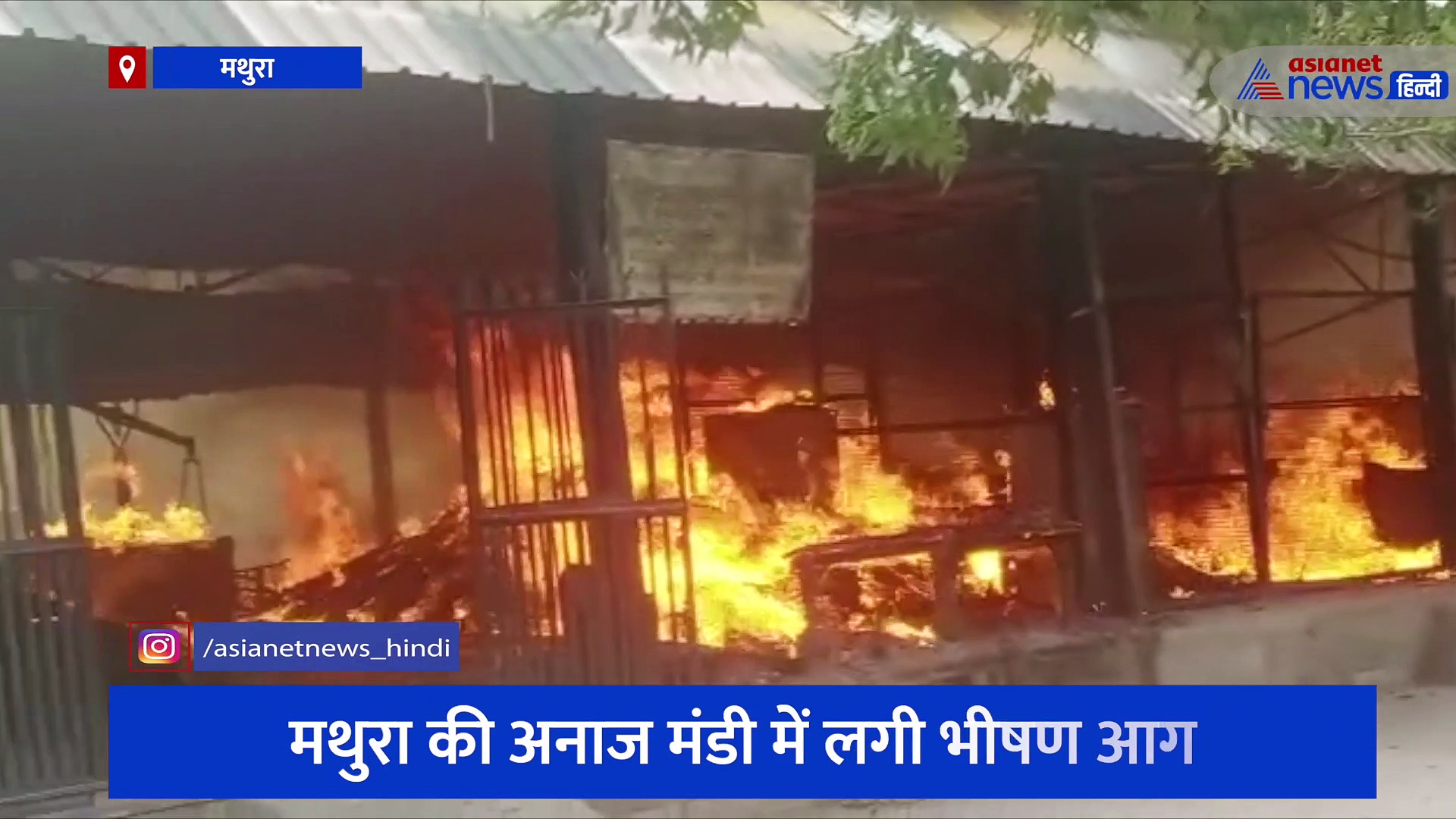 मथुरा की अनाज मंडी में लगी भीषण आग, अनाज से भरे हजारों बोरे जलकर हुए खाक