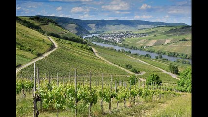 World's Most Viewed Life Changing Video