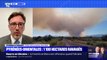 Incendie dans les Pyrénées-Orientales: 1100 hectares ravagés mais 