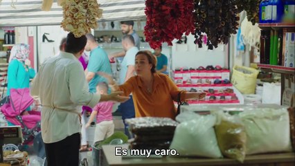 Sin Aliento Capitulo 17 - Nefes Nefese (SUBTITULO ESPAÑOL)