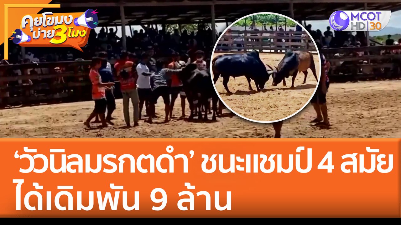 ‘วัวนิลมรกตดำ’ ชนชนะแชมป์ 4 สมัย ได้เดิมพัน 9 ล้าน (29 มิ.ย. 65) คุยโขมงบ่าย 3 โมง
