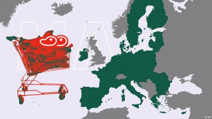 سوق اللحوم - كيف نشأ جشع صناعة اللحوم