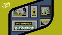 Educational videos - Les Domestiques - #TDF2022