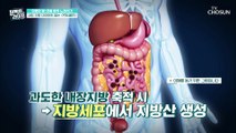 성인 4명 중 1명은 복부비만 장기에 쌓이는 내장지방 TV CHOSUN 20220629 방송